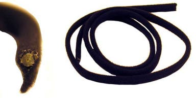 Soltakkantlist for Volvo 140, 164, 240, 260 (bak)