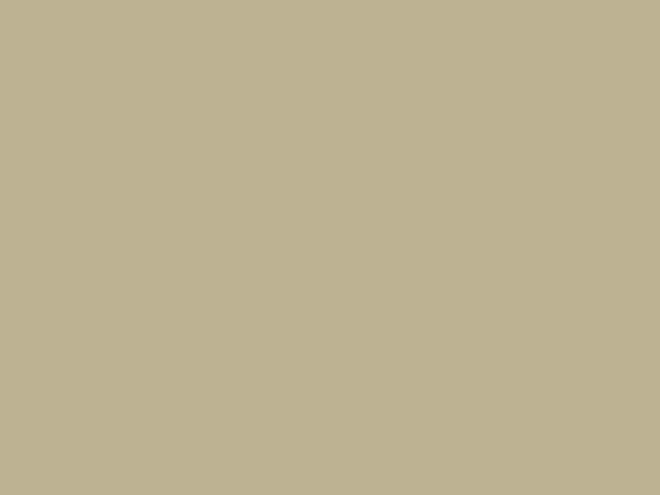 Lakk 119 Beige metallic, spray